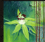 Passion Flower